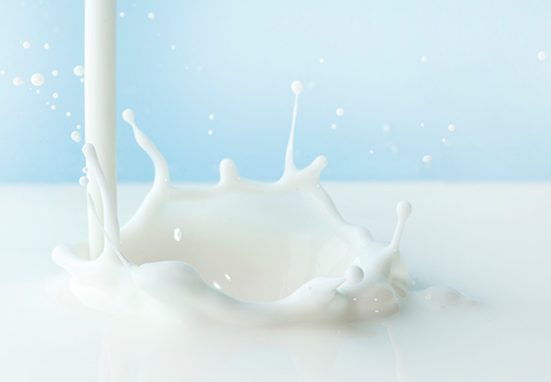  水牛奶稳定剂